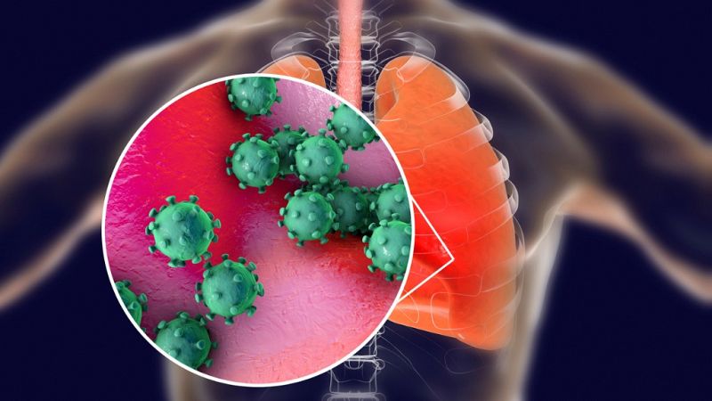 Resultado de imagen de confirman segundo caso de coronavirus en Estados Unidos"