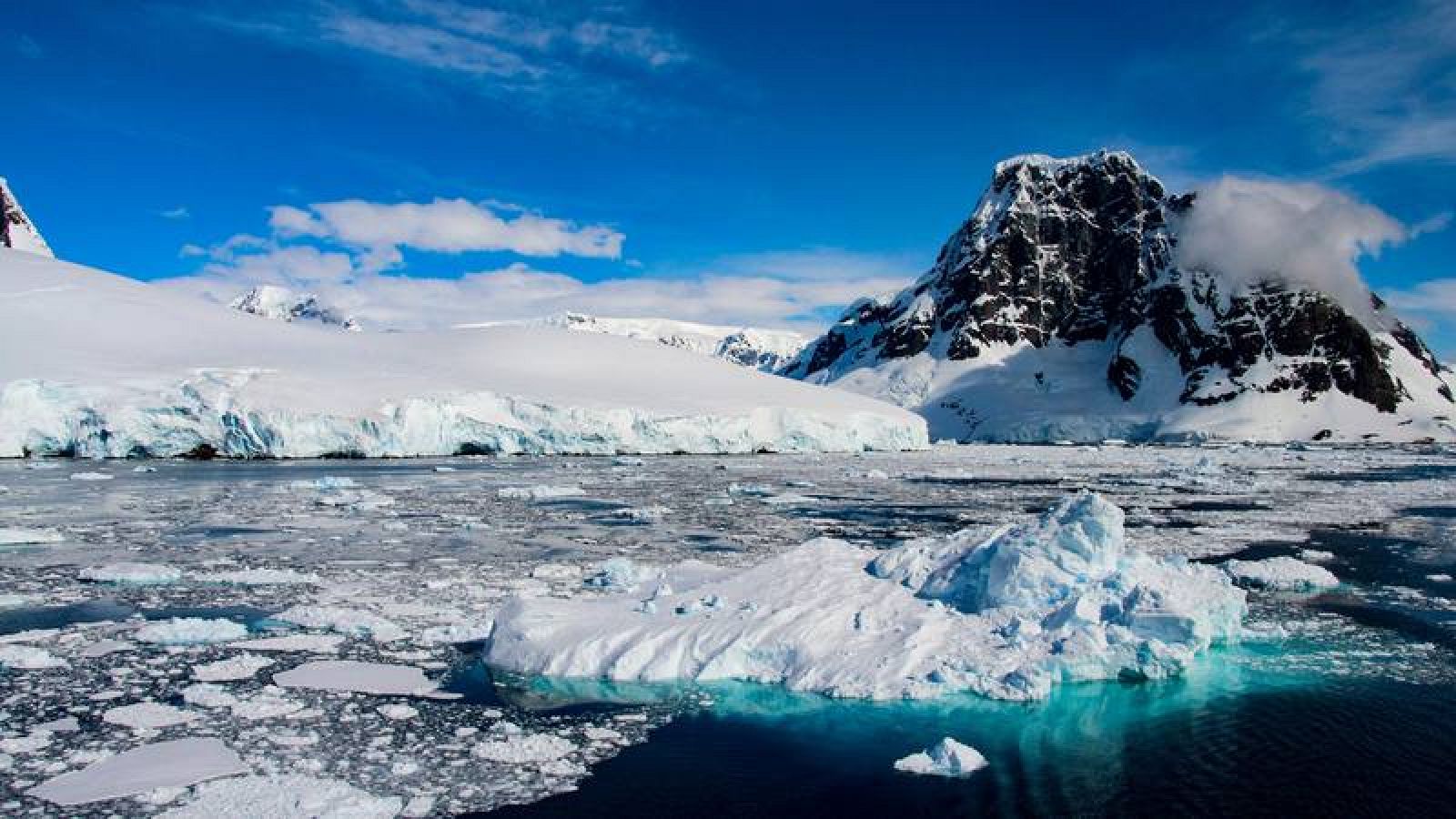 El deshielo del Ártico genera más vida en el mar - RTVE.es