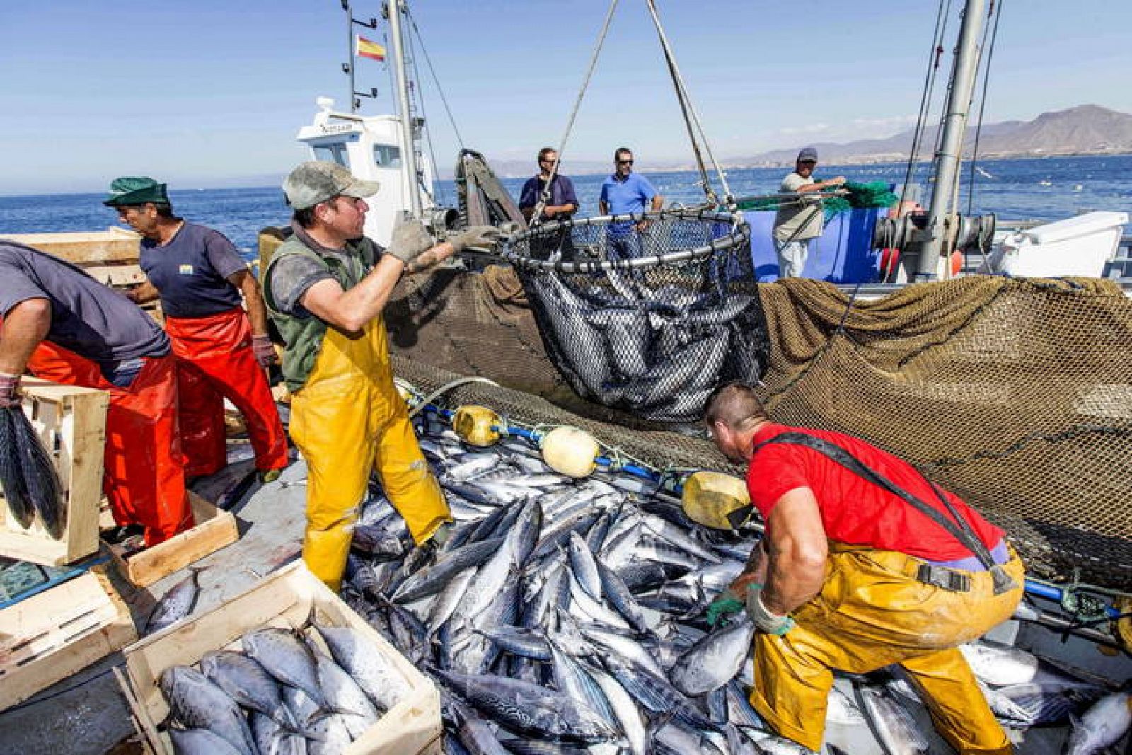 el-est-ndar-de-pesca-responsable-de-la-flota-atunera-espa-ola-se