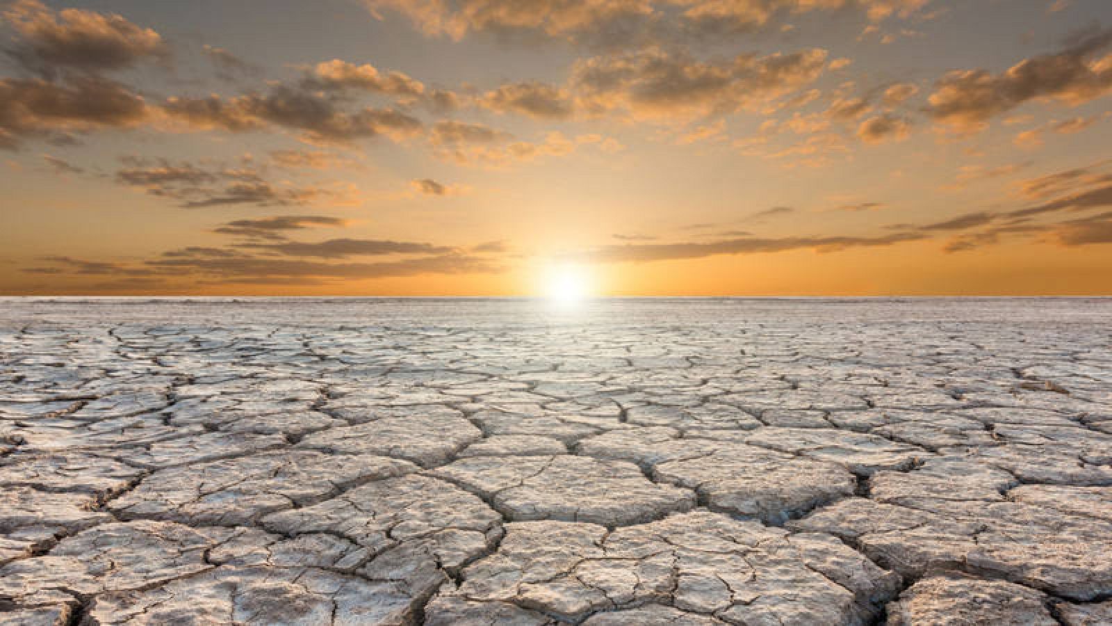 COP25 de Madrid: hacia un mundo más sustentable