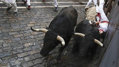 Ganadería 'Jandilla' - Sanfermines 2017