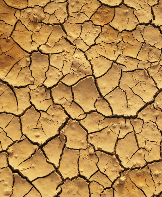 El incremento de la temperatura media acarrea efectos devastadores como las sequías