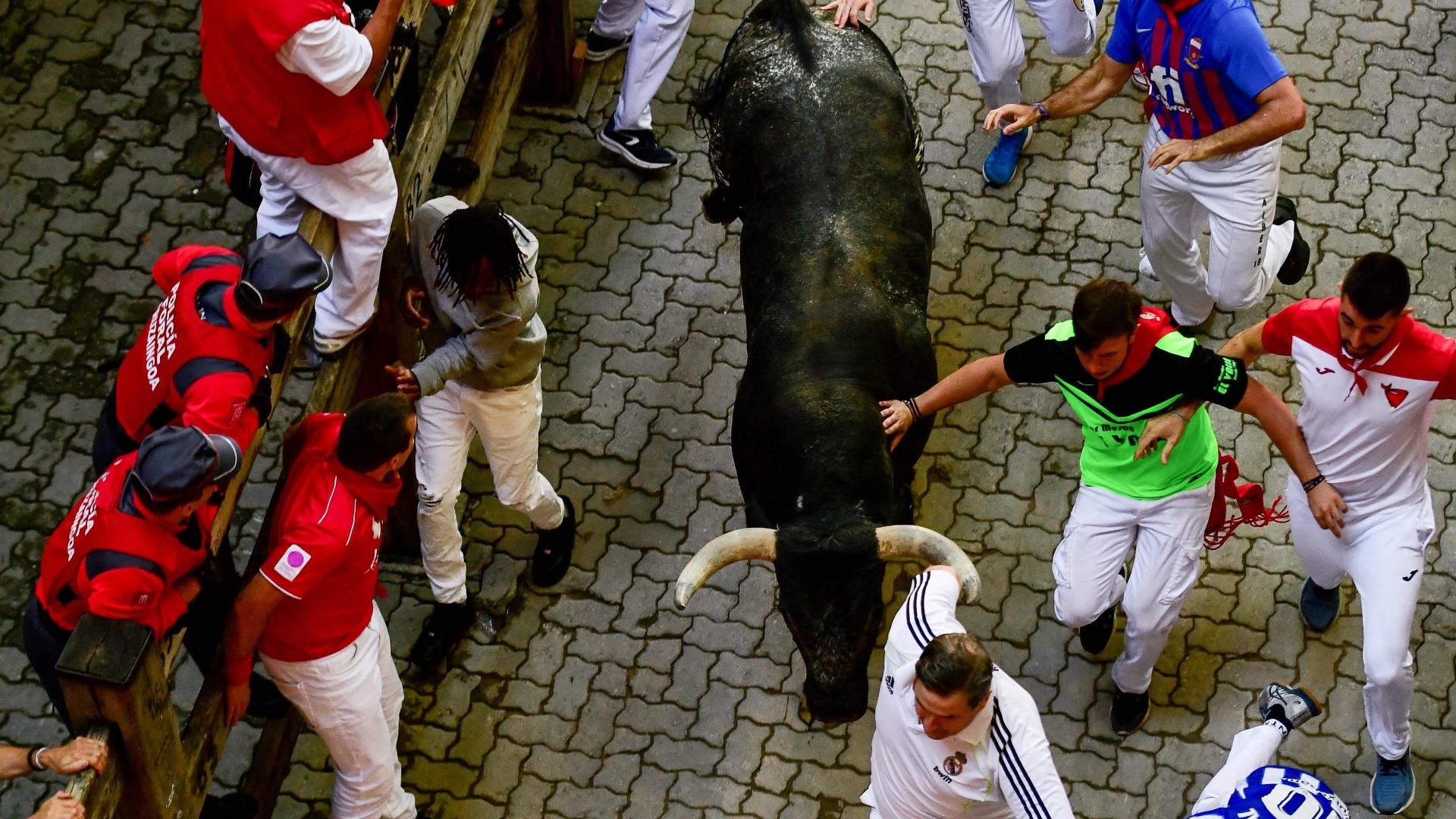 Octavo enciero San Fermín 2023 vistoso y noble