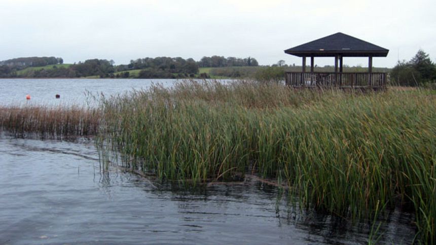 Vídeos Nómadas RNE Web oficial RTVE.es