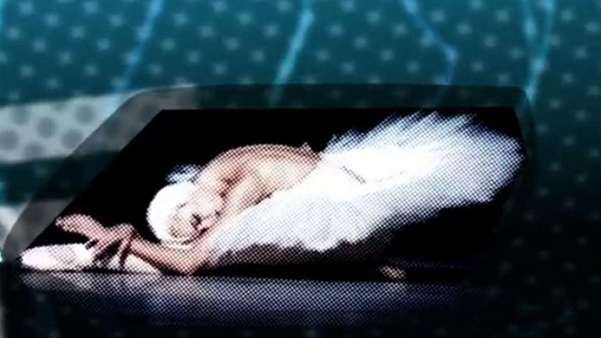 Pizzipedia: chaikovski