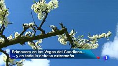 Noticias de Extremadura - 21/03/13