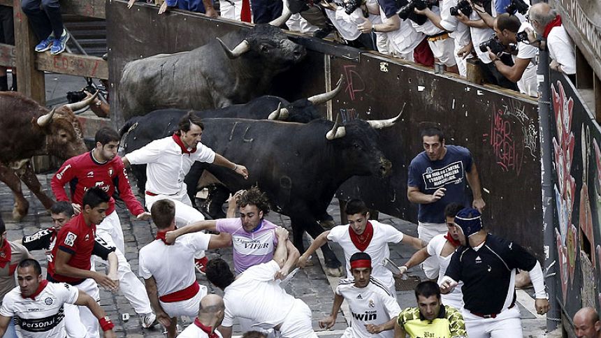 Veloz octavo encierro de San Fermín 2013 con toros de Miura