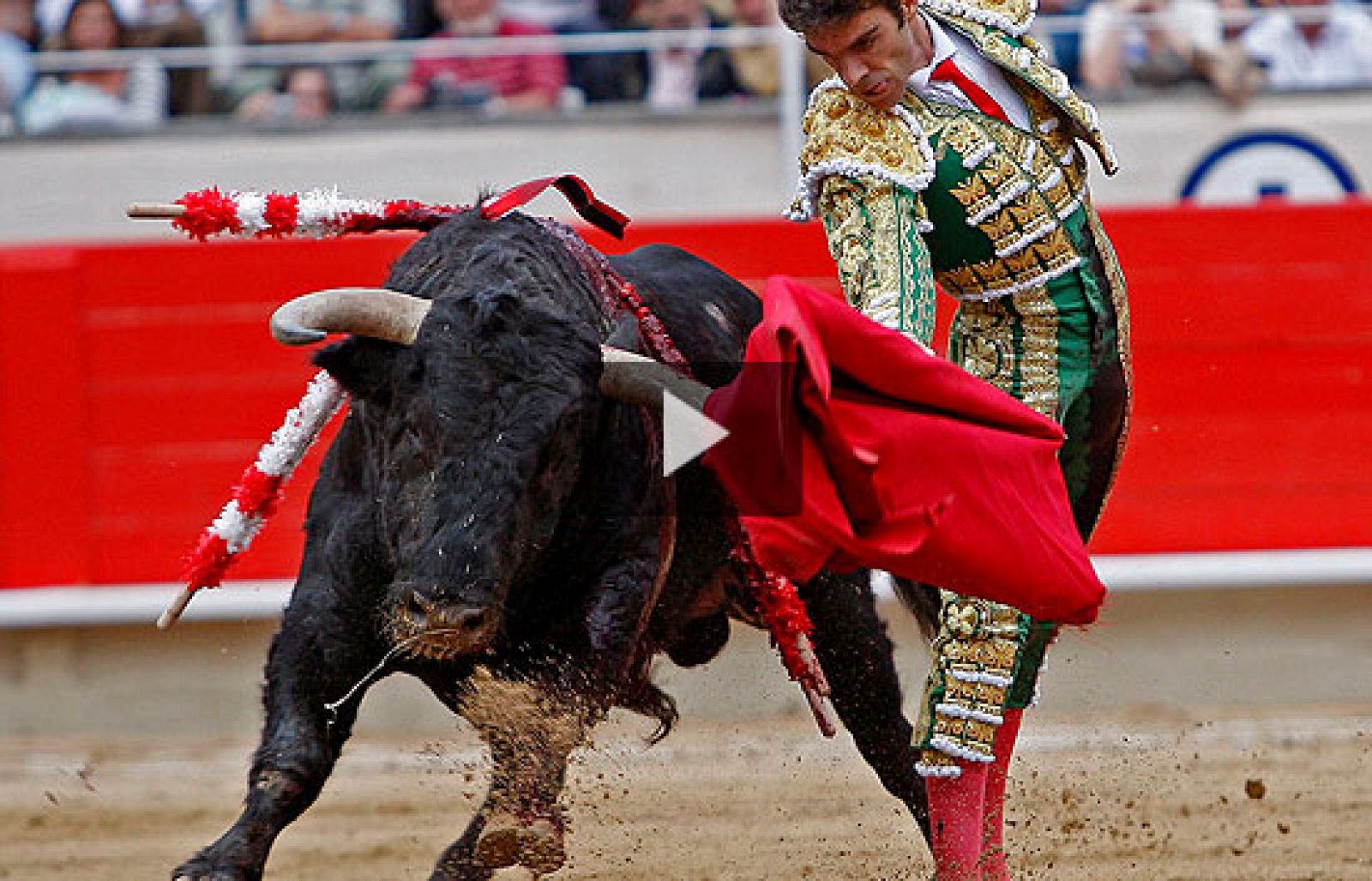 José Tomás habla en exclusiva para TVE del toro que indultó en