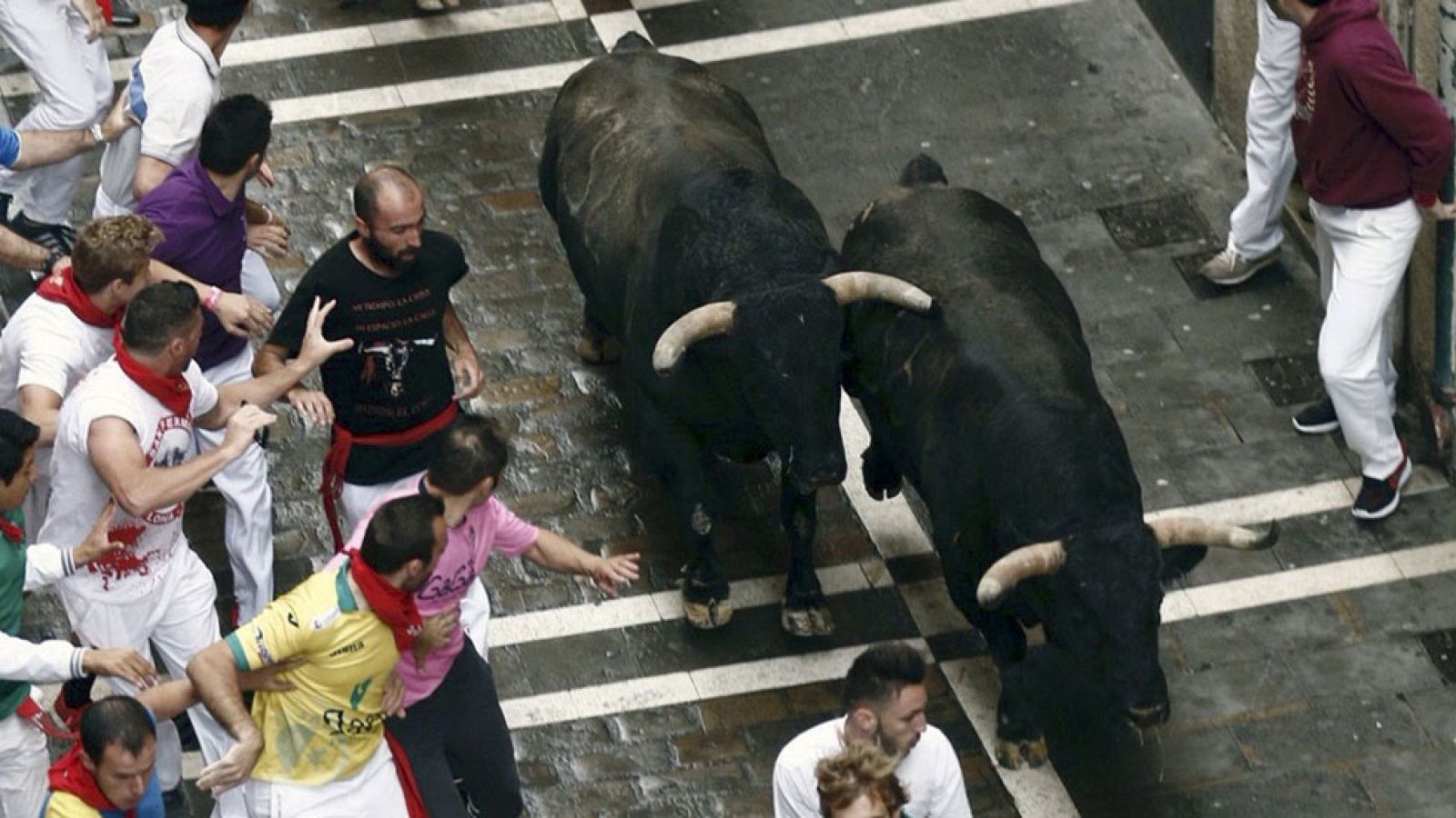 Séptimo encierro de San Fermín 2016 rápido y con momentos de peligro 