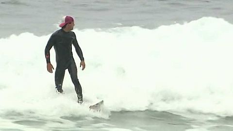 Surf: El cazador de olas gigantes