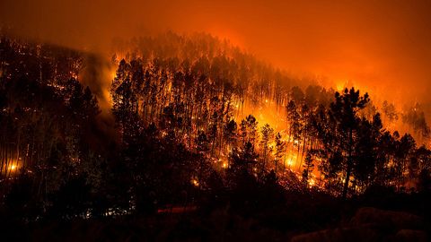 Quince incendios activos arrasan 1.900 hectáreas en Galicia en 24 horas