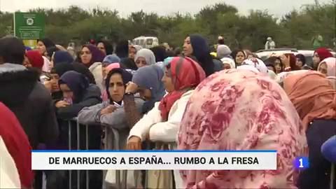 Unas 18.000 mujeres marroquíes viajan a España para la campaña de la fresa