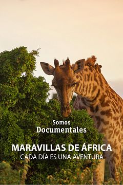 Maravillas de África (cada día es una aventura)