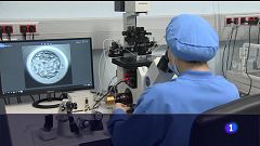 Investigadores mejoran la calidad de los embriones in vitro 