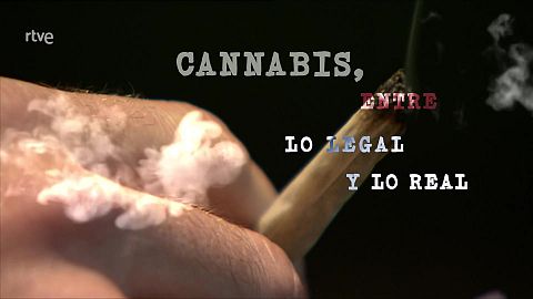 Cannabis, entre lo real y lo legal