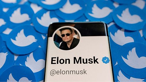 La cotización de Twitter de desploma después de que Elon Musk haya paralizado su compra        