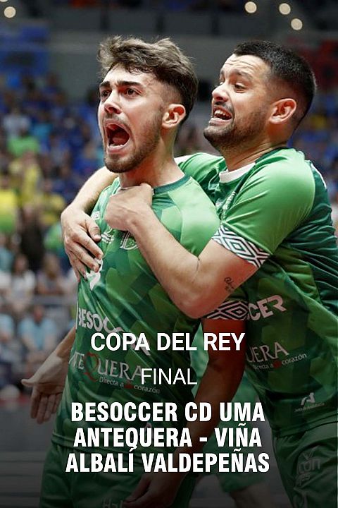 Copa del Rey. Final: UMA Antequera - Viña Albali