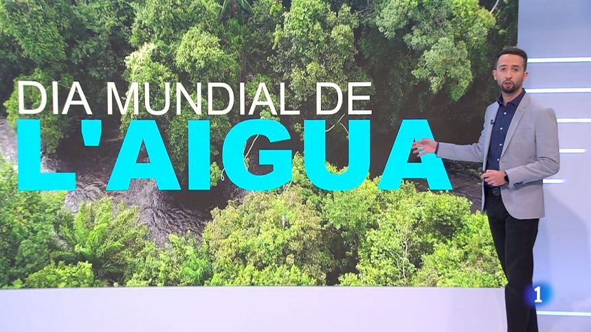 El Temps - Sequera, sense pluja a la vista en el Dia Mundial de l'Aigua