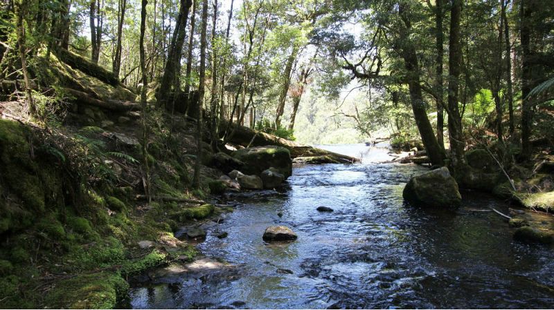 Nmadas - Tasmania, el paraso del diablo - Escuchar ahora  