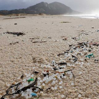 Lo que sabemos sobre los p�lets gracias al Instituto Ecoaqua