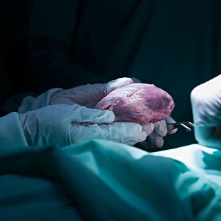 Tres a�os despu�s, el coraz�n de Irene late sin rechazo