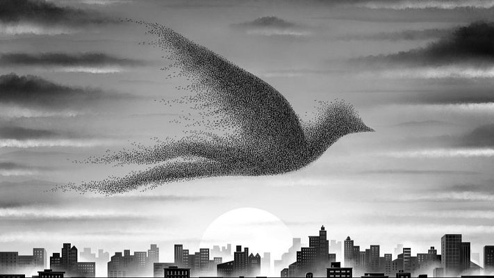 Efecto Doppler - Martín Romero: 'To Bird or not To Bird' - 17/01/24 - escuchar ahora