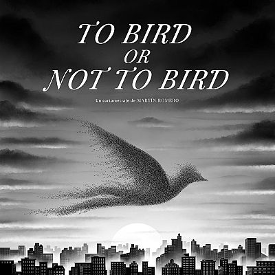 Efecto Doppler - Martín Romero: 'To Bird or not To Bird' - 17/01/24 - escuchar ahora