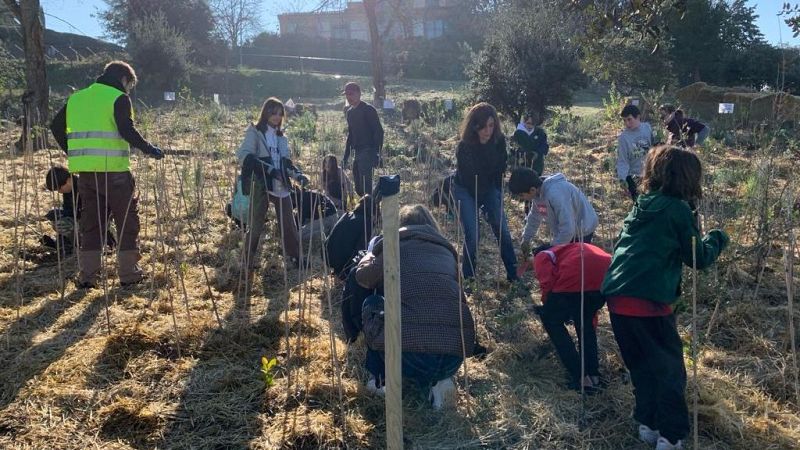 Émission en français - Quel est votre arbre préféré de la forêt du Petit Prince ? - 25/01/24 - Escuchar ahora