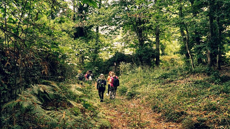 El bosque habitado - Volver y bailar en el bosque del año - 28/01/24 - Escuchar ahora