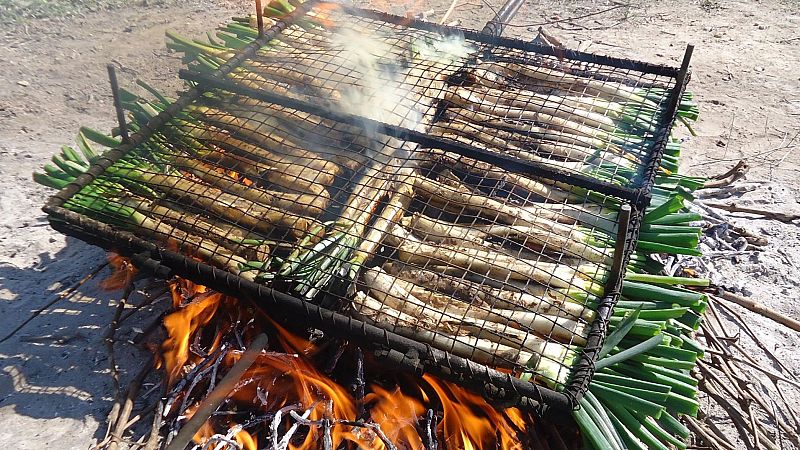 Damià Amorós: l'art de la calçotada