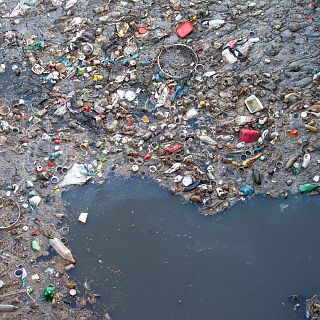 Españoles en la mar