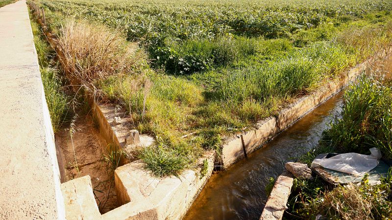 Más cerca - La sequía agravada por "el agua que se pierde por el camino" - Escuchar ahora