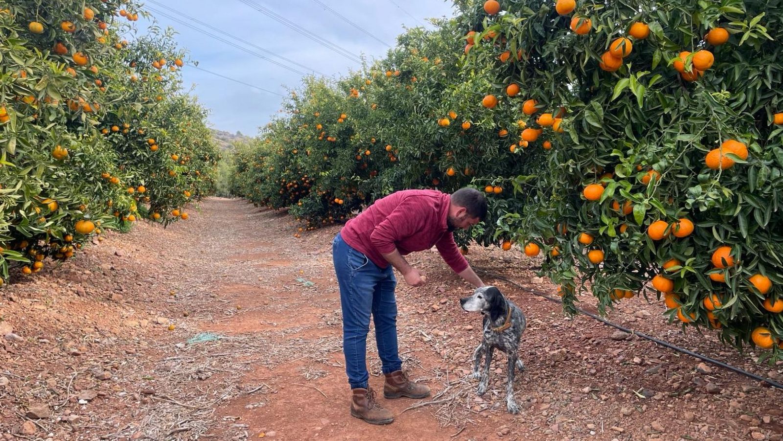 El día a día de un joven agricultor