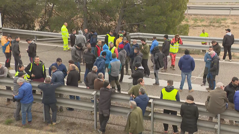 Continuen les mobilitzacions dels pagesos per demanar solucions a la greu crisi del sector agrari | Pepa Sangenís