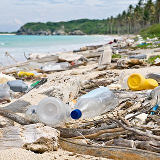 Las contaminaciones llegadas del mar