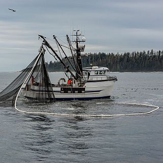 Españoles en la mar