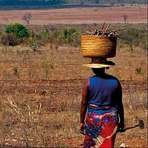Sumando esfuerzos - Sumando esfuerzos - 'El efecto ser humano'. Justicia climática - 16/02/24 *- escuchar ahora