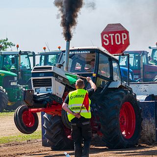 Mundo rural