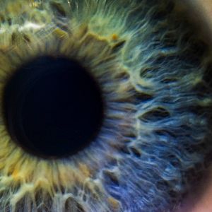 Las tardes de RNE - Las tardes de RNE - Haciendo negocio con el iris de tus ojos - 22/02/24 - escuchar ahora