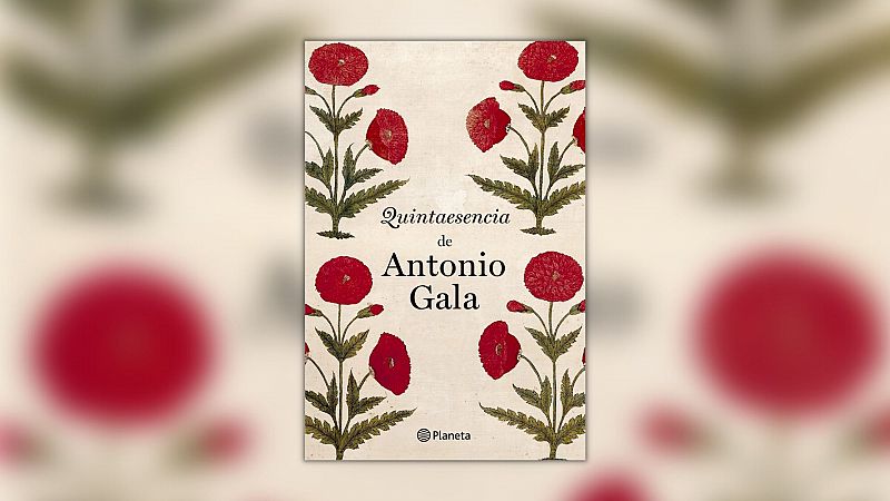 Propuesta cultural - 'Quintaesencia' de Antonio Gala - 03/12/12 - Escuchar ahora