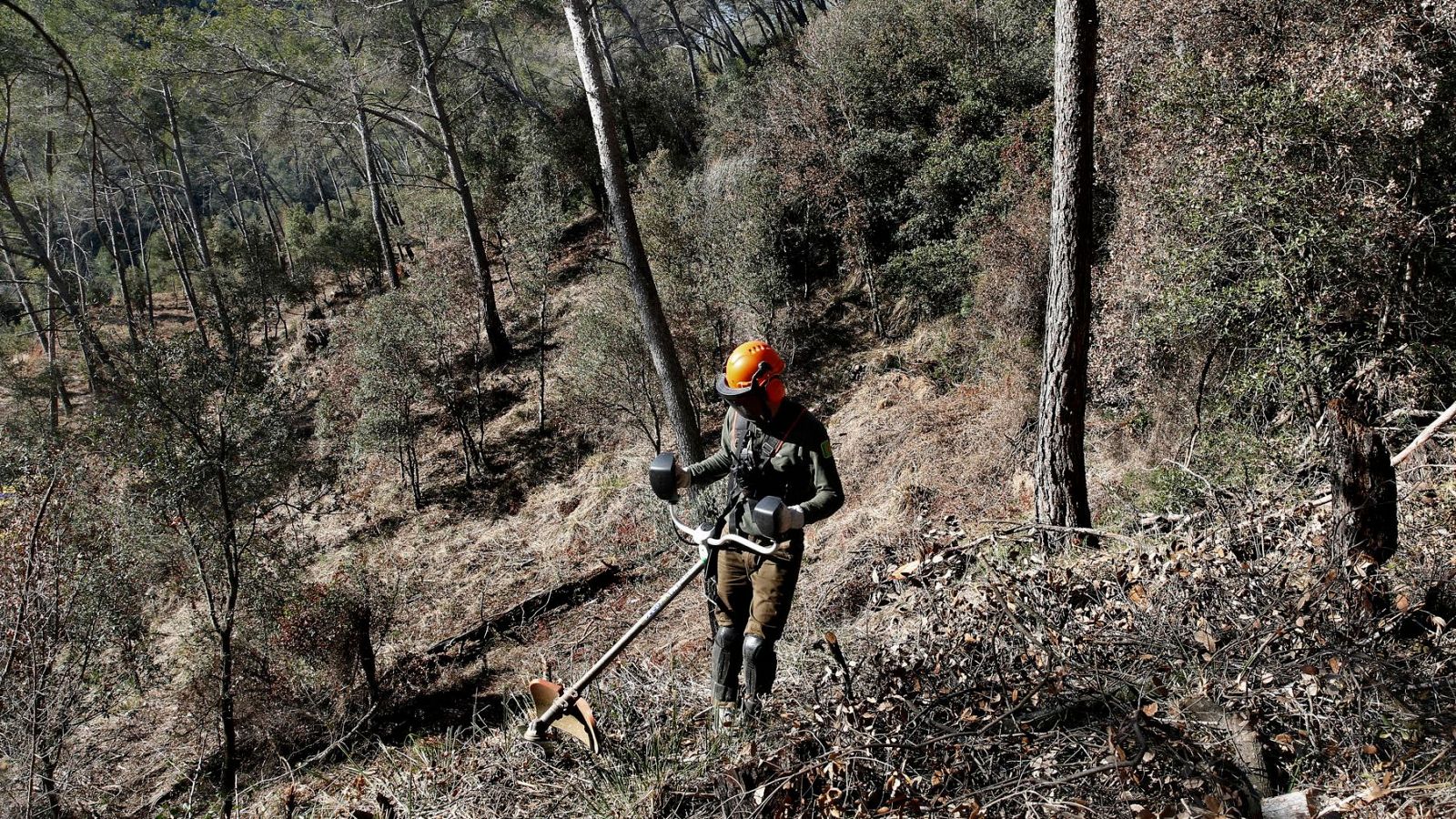 Las Mañanas de RNE con Íñigo Alfonso - Un Estatuto para "homonegeizar" la labor de bomberos forestales y agentes medioambientales  - Escuchar ahora