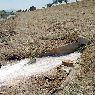 Sequía: "En algunas zonas hay exceso de demanda de regadío"
