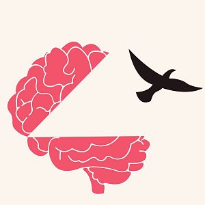 Tras la tormenta - Saliendo del armario de la enfermedad mental - Escuchar ahora