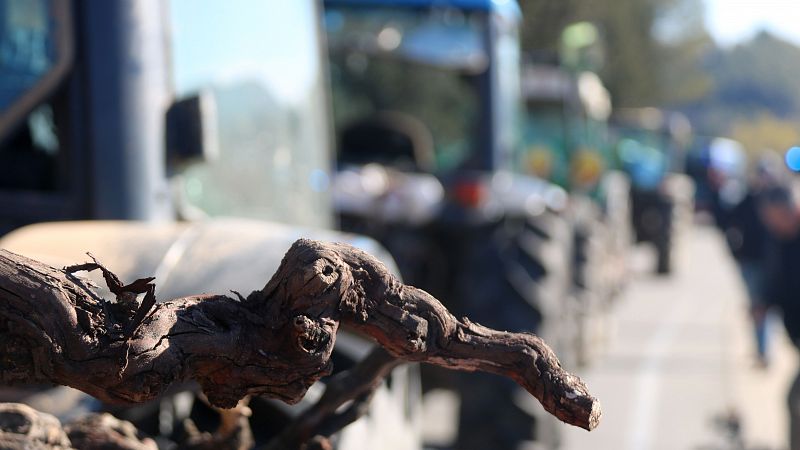 Els pagesos amenacen amb més mobilitzacions si no avancen les negociacions | Pepa Sangenís