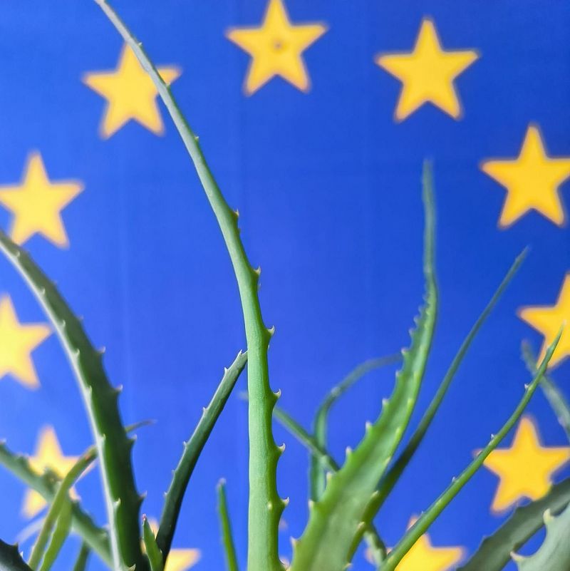 Europa abierta - Ucrania otro año más sin pagar aranceles a la UE - Escuchar ahora