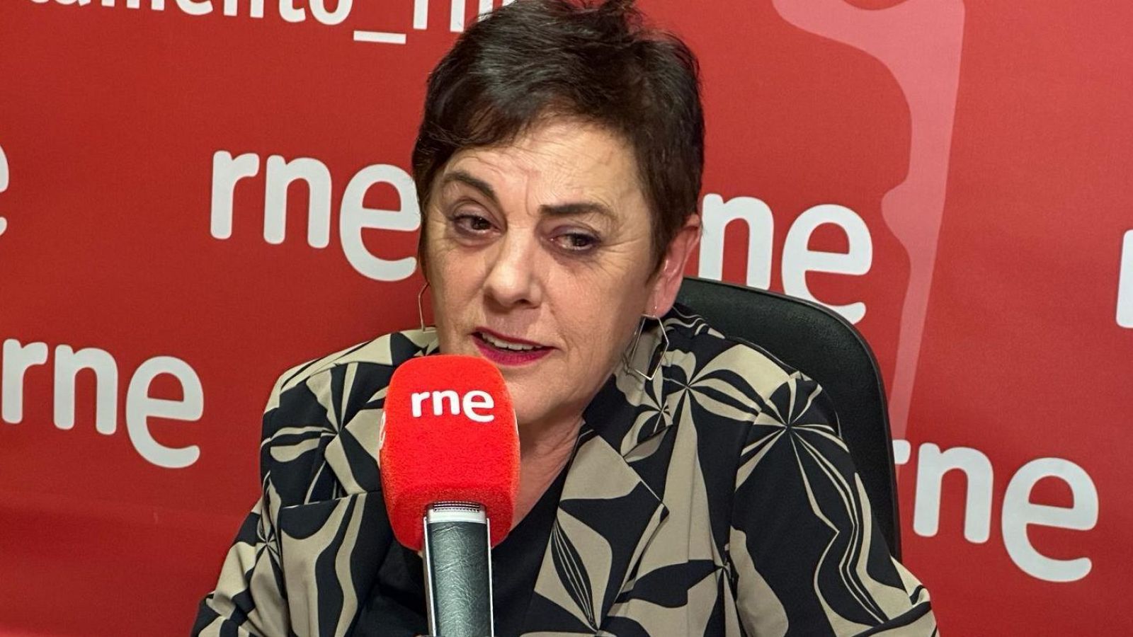 Parlamento RNE - Mertxe Aizpurua: "El PSE debería estar preparado para aceptar un lehendakari de Bildu" - Escuchar ahora