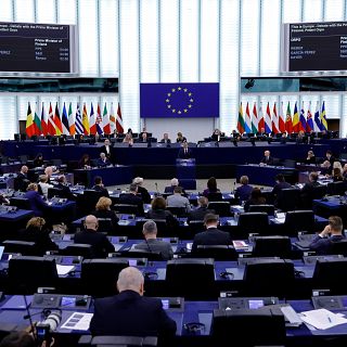 El pacto verde europeo puede estar en riesgo, según las ONG