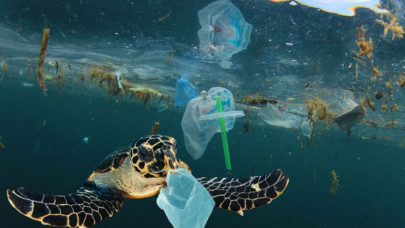 Planeta vivo - Plásticos ahogando el mar - 10/0424 - escuchar ahora