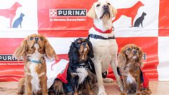 Alianza 2030 - Proyecto Guau: perros de terapia asistida - 13/04/24