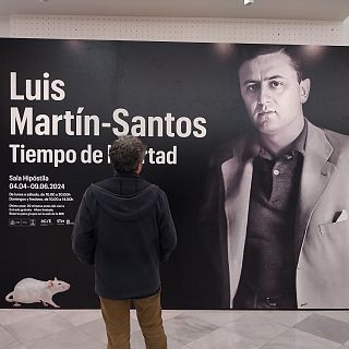 Luis Martín-Santos, centenario de un escritor universal